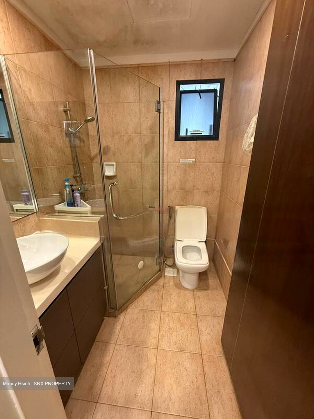 Simsville (D14), Condominium #477600341